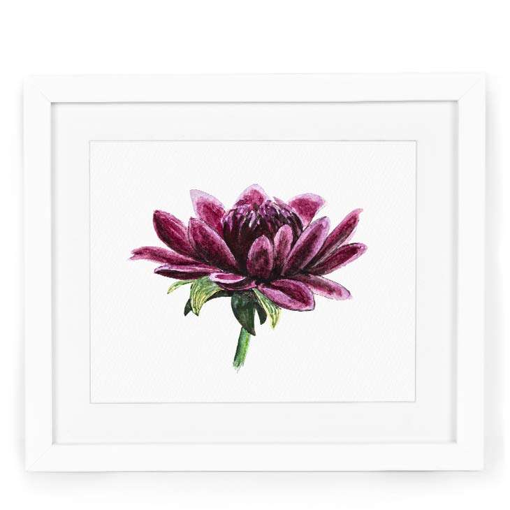 Image of a watercolor painting of a purple dahlia in watercolor | Original artwork painted in watercolor by CharmCat | charmcat.net