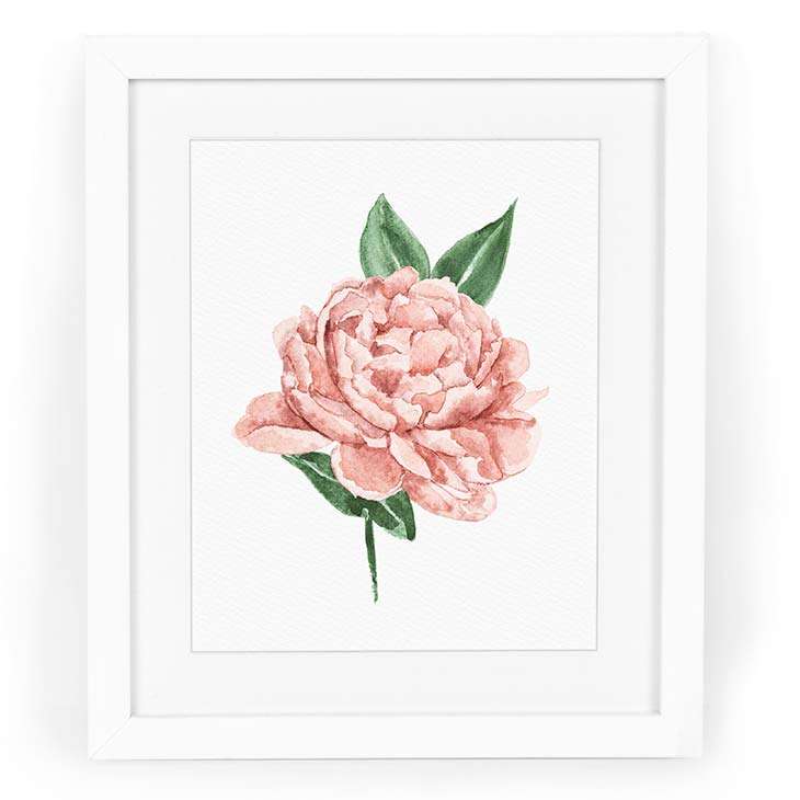 Image of a watercolor painting of a pink peony in watercolor | Original artwork painted in watercolor by CharmCat | charmcat.net