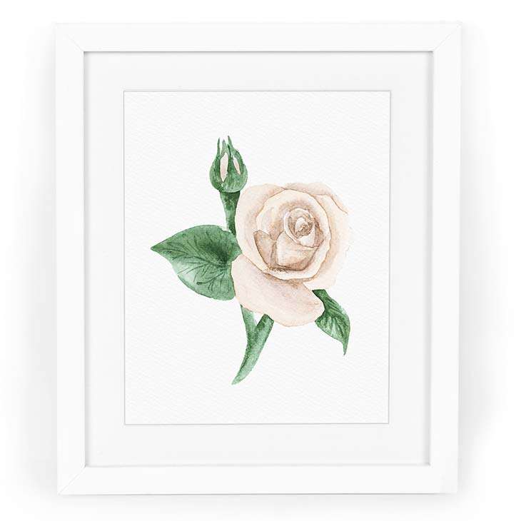 Image of a watercolor painting of a beige rose in watercolor | Original artwork painted in watercolor by CharmCat | charmcat.net