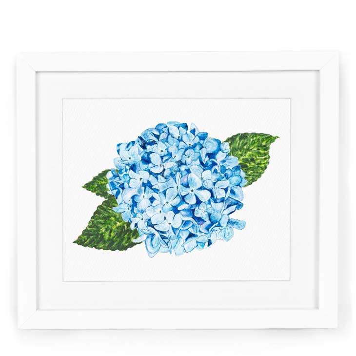 Image of a watercolor painting of a blue hydrangea bloom in watercolor | Original artwork painted in watercolor by CharmCat | charmcat.net