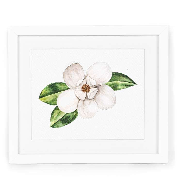 Image of a watercolor painting of a magnolia bloom in watercolor | Original artwork painted in watercolor by CharmCat | charmcat.net