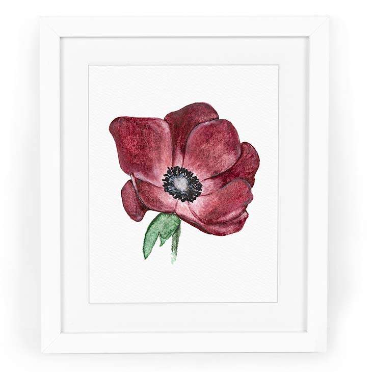 Image of a watercolor painting of a red anemone in watercolor | Original artwork painted in watercolor by CharmCat | charmcat.net
