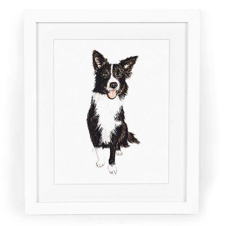 Image of a watercolor painting of a black and white border collie in watercolor | Original artwork painted in watercolor by CharmCat | charmcat.net