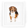 Beagle Watercolor Fine Art Giclee Print — 5x7 or 8x10 Dog Painting