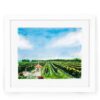 Raphael Vineyards Watercolor Fine Art Giclee Print — 5x7, 8x10, or 11x14 Landscape Wall Art