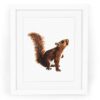 Squirrel Watercolor Fine Art Giclee Print — 5x7, 8x10, or 11x14 Squirrel Painting