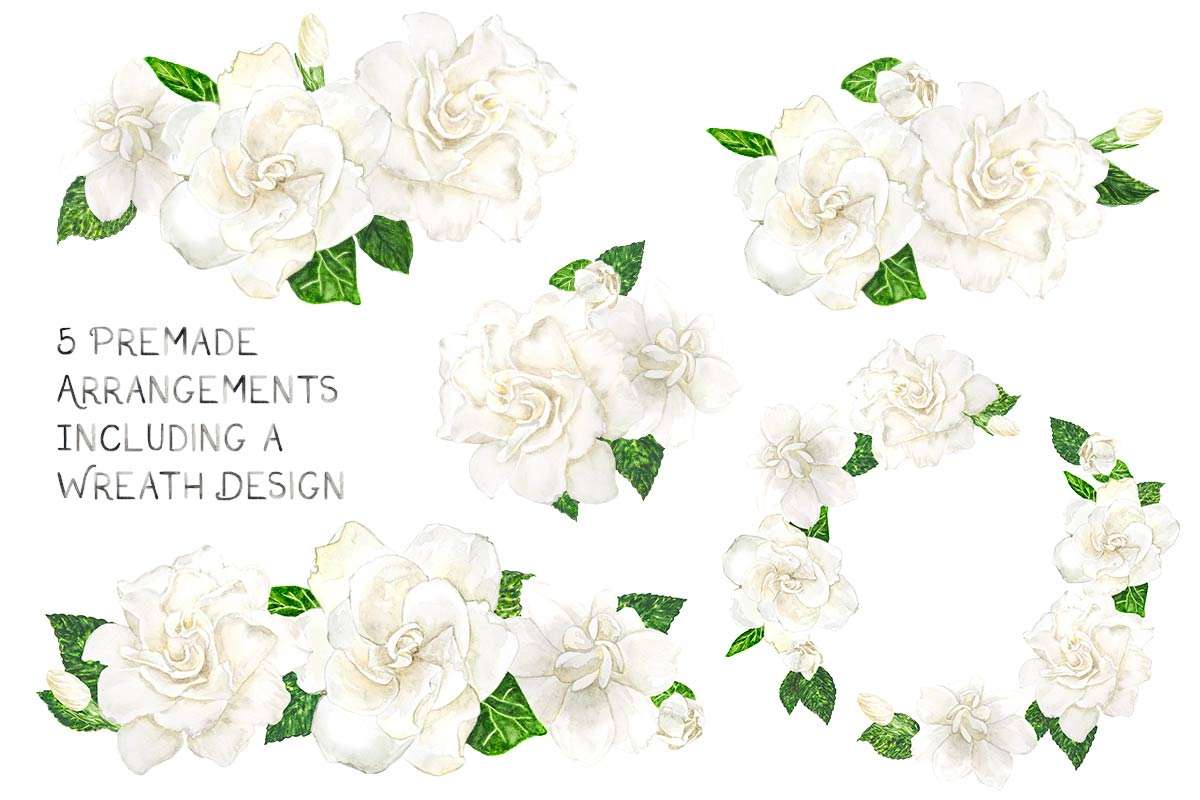 August Beauty Gardenia Watercolor Floral Graphics Bundle