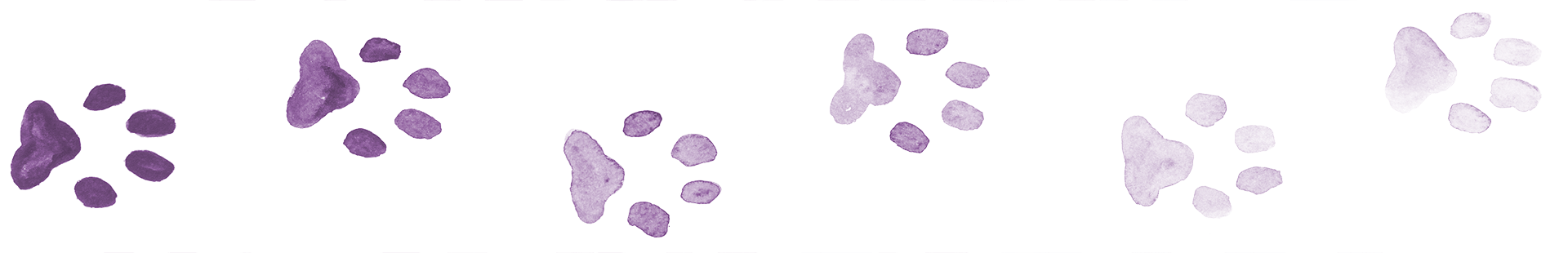 A simple border made up of paw prints painted in purple watercolor.